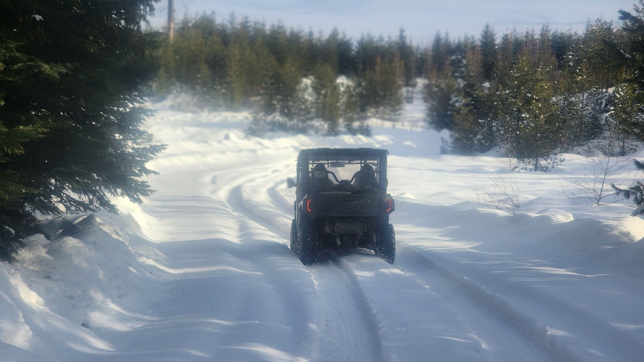 Photo of Others in Pierce