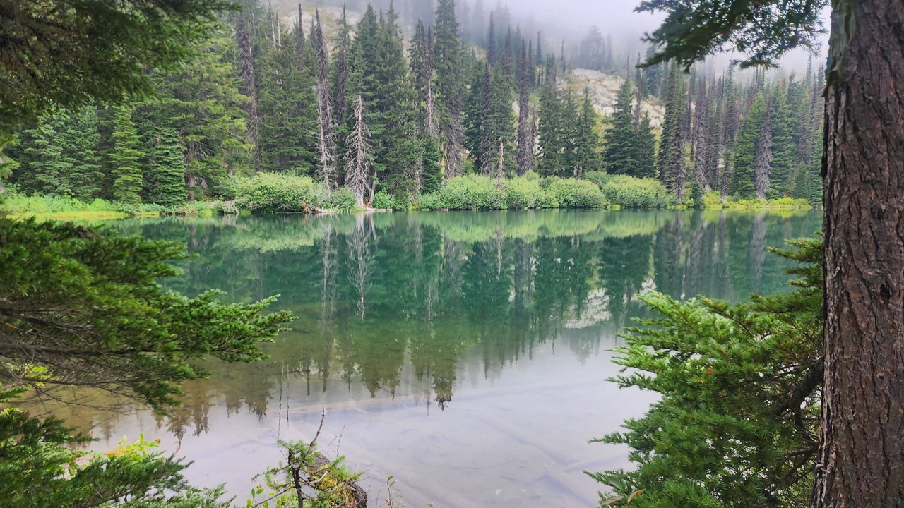 Photo of Outdoor in Pierce