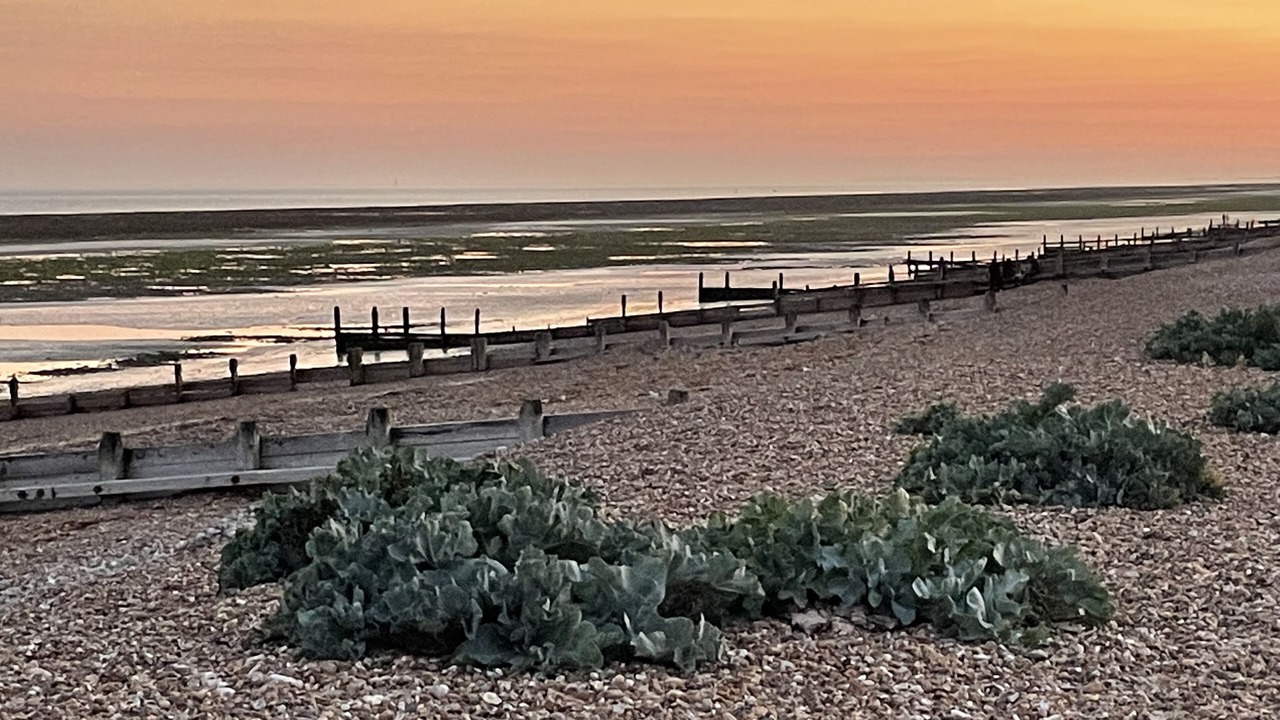 Photo of Others in Worthing