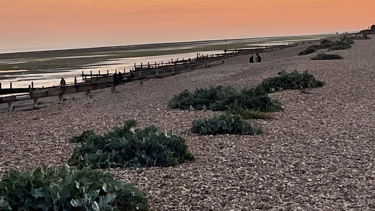 Photo of Others in Worthing