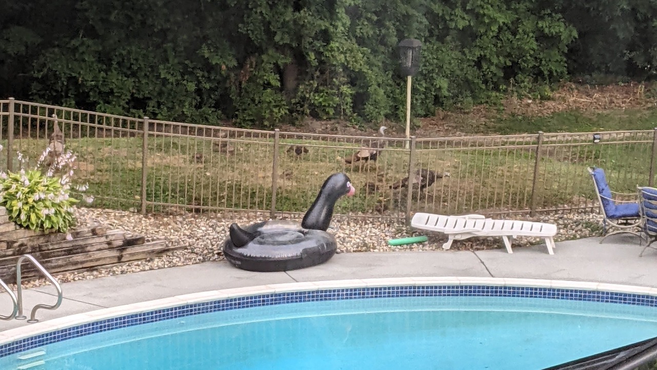 Photo of Outdoor in Allenton