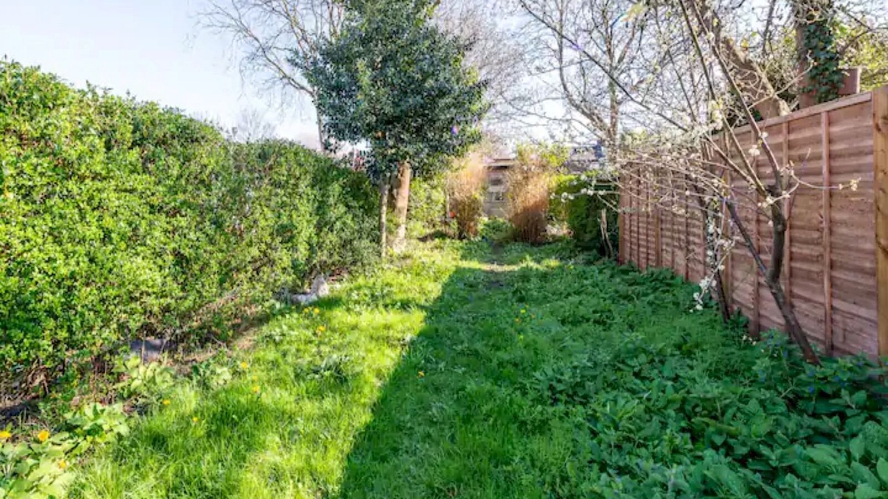 Photo of Outdoor in South Acton