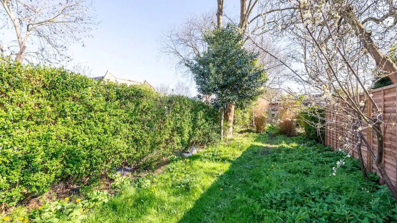 Photo of Outdoor in South Acton