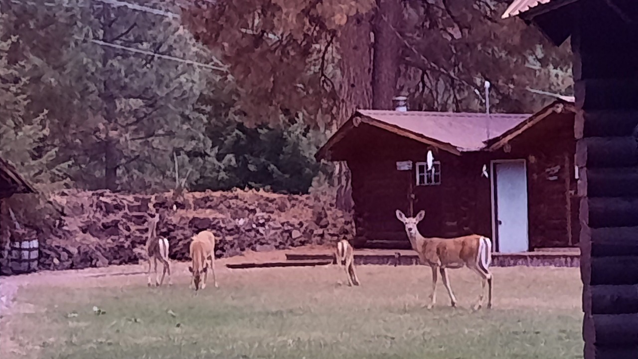 Photo of Outdoor in Lewiston