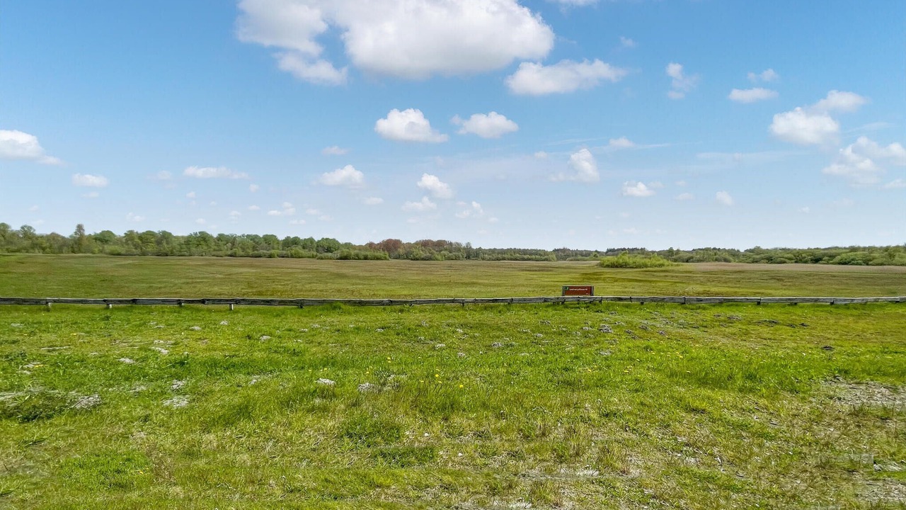 Photo of Others in Lauwersoog
