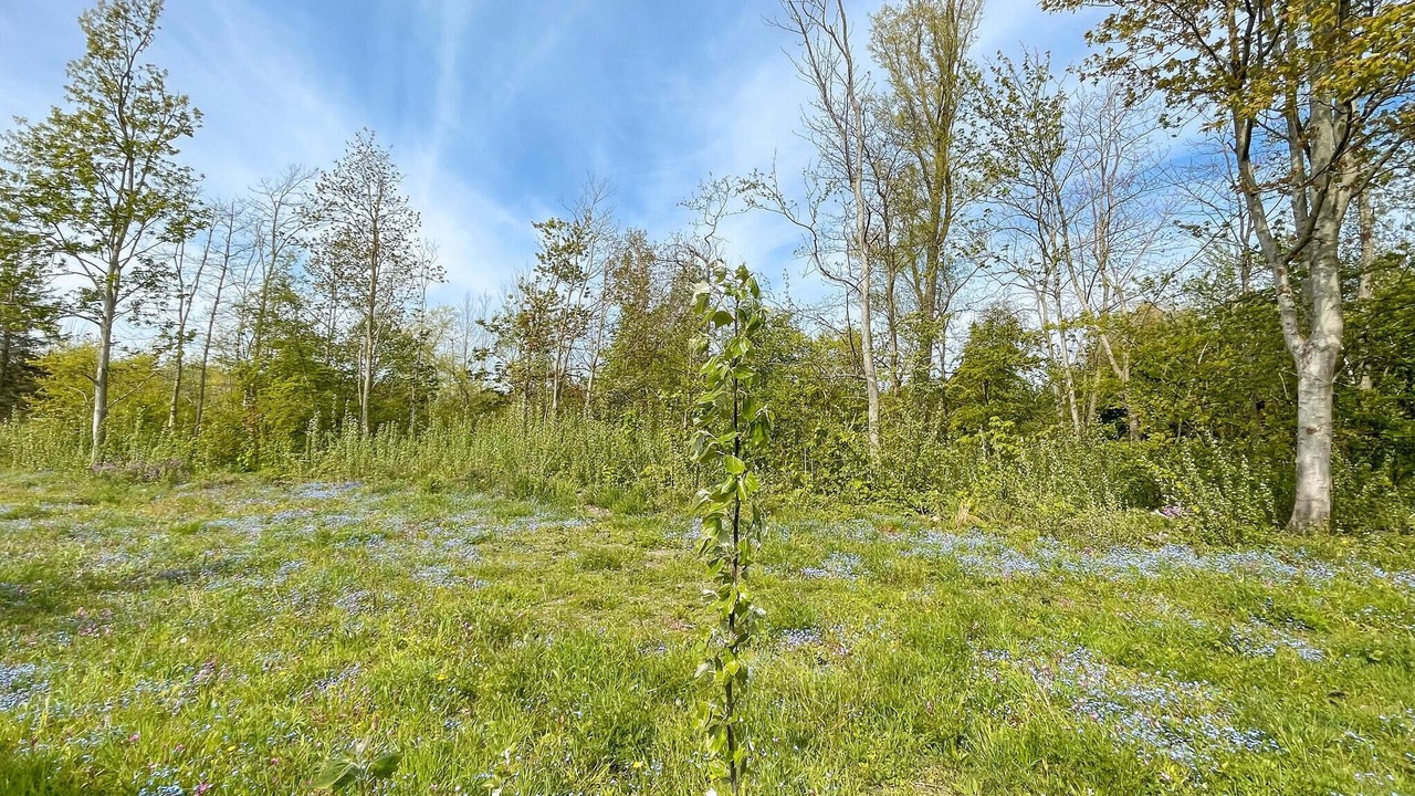 Photo of Others in Lauwersoog