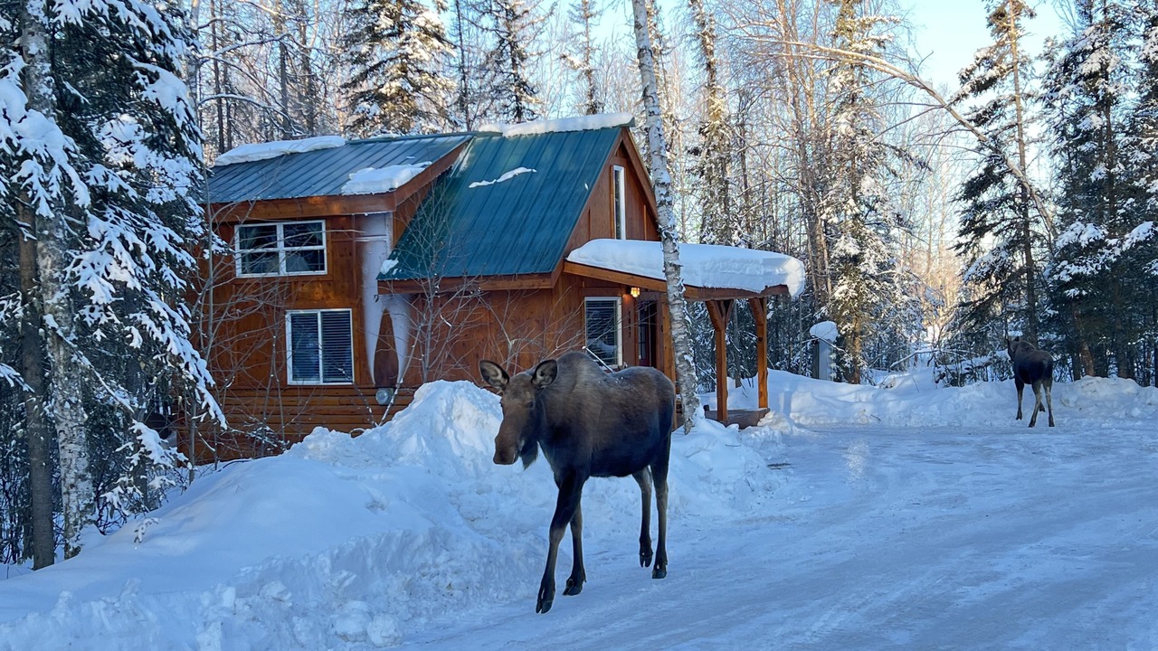 Photo of Outdoor in Wasilla