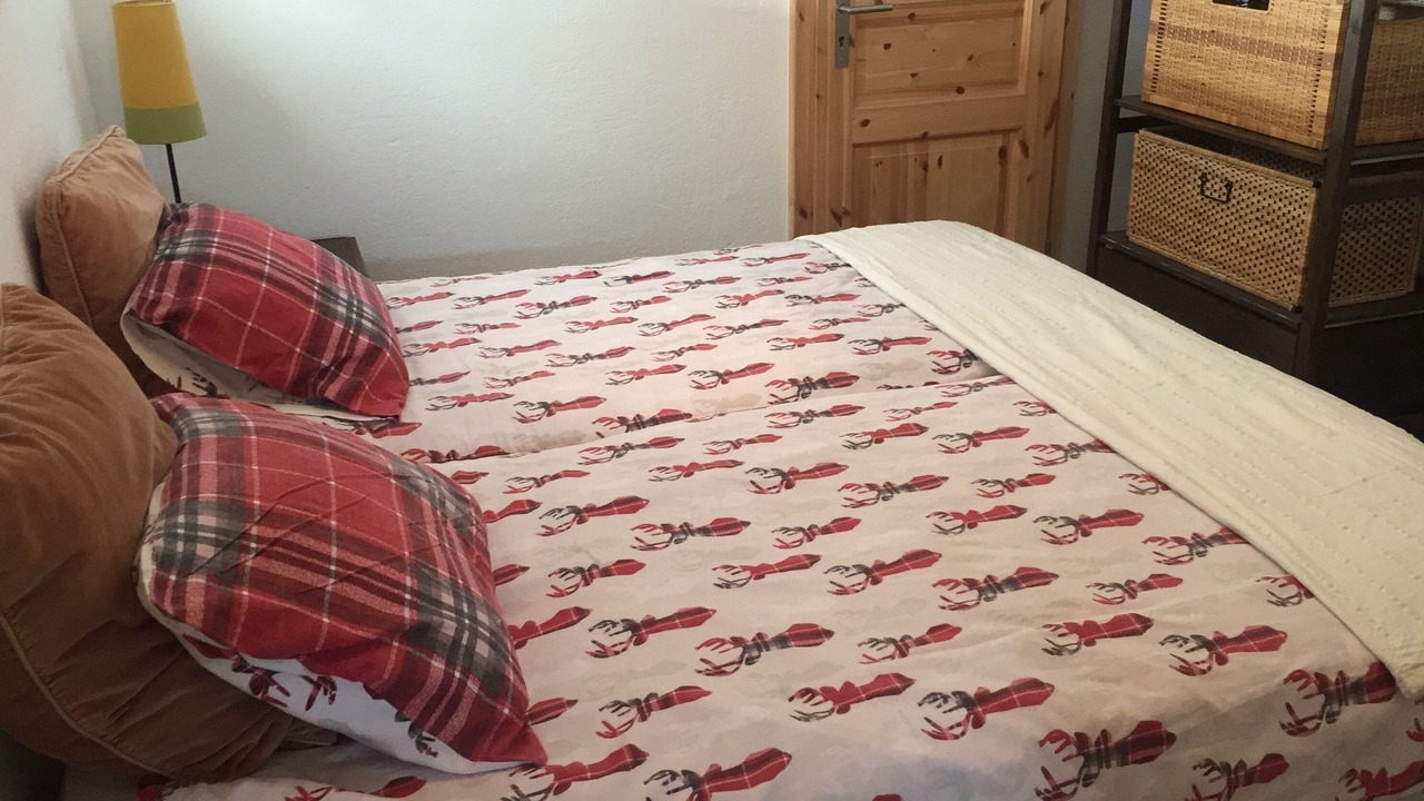 Photo of Bedroom in Leysin