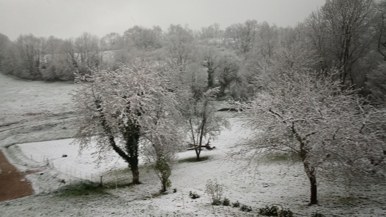 Photo of Outdoor in Rimont