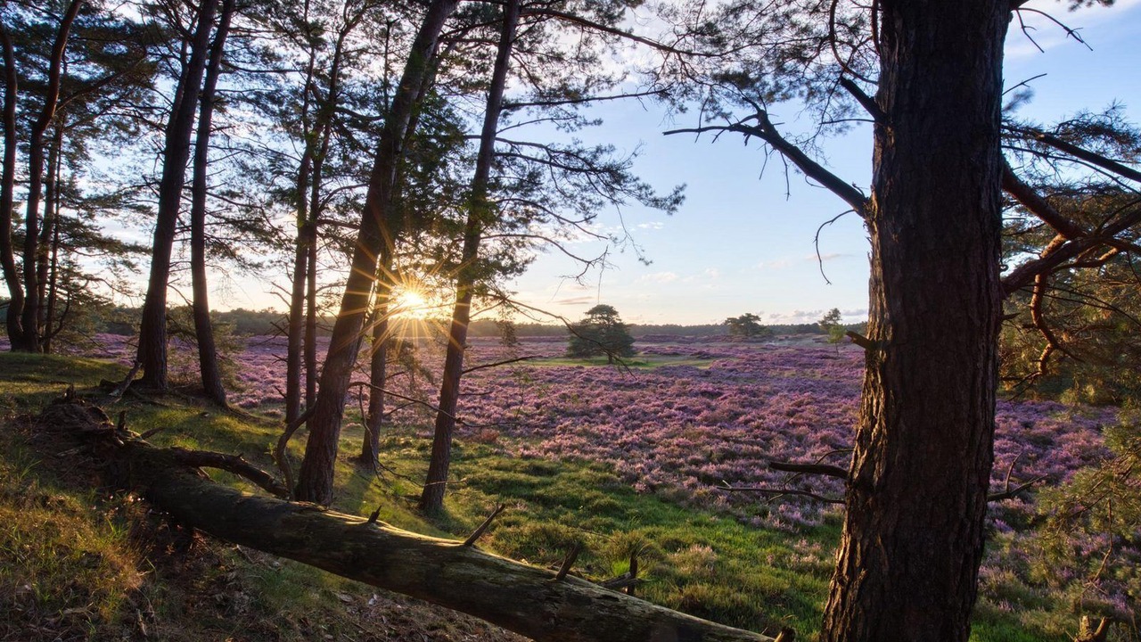Photo of Outdoor in Municipality of Harderwijk