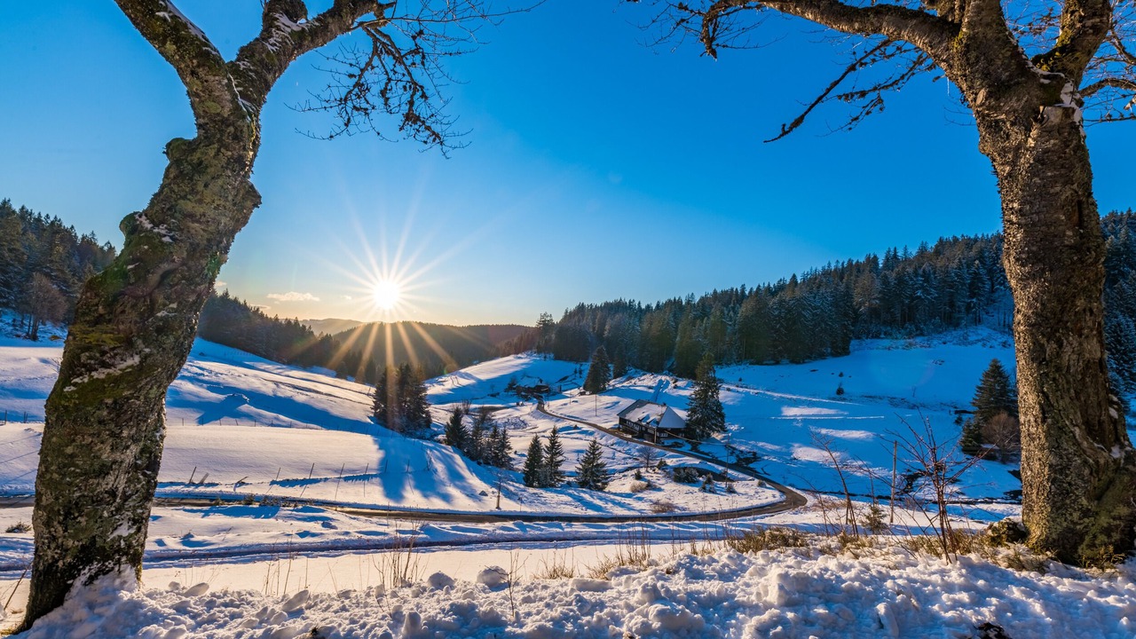 Photo of Outdoor in Todtnauberg