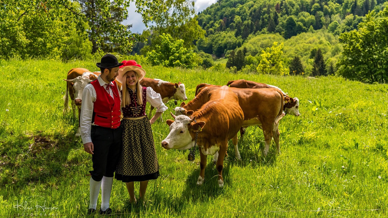Photo of Others in Todtnauberg