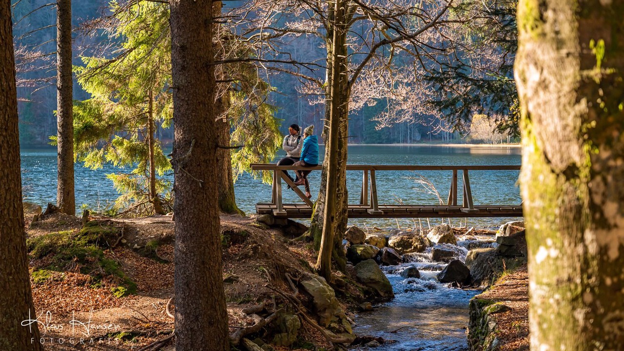 Photo of Outdoor in Todtnauberg