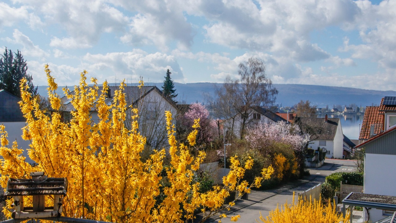 Photo of Others in Allensbach