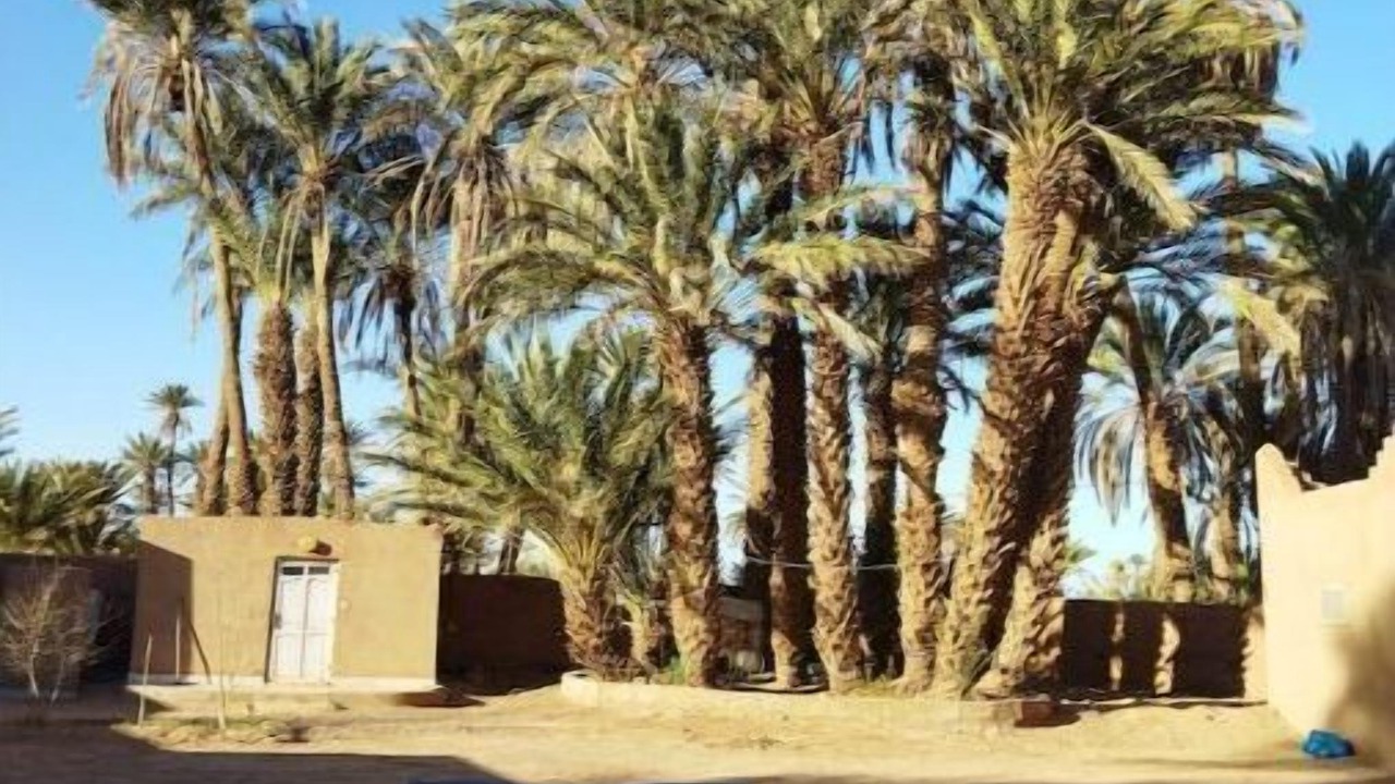 Photo of Outdoor in M'Hamid El Ghizlane