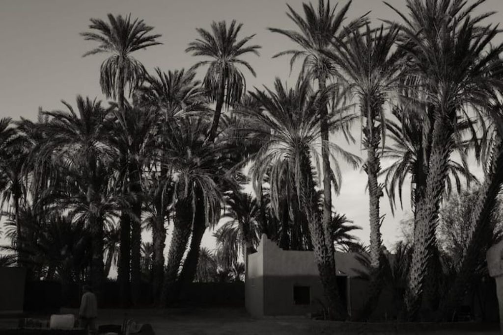 Photo of Outdoor in M'Hamid El Ghizlane