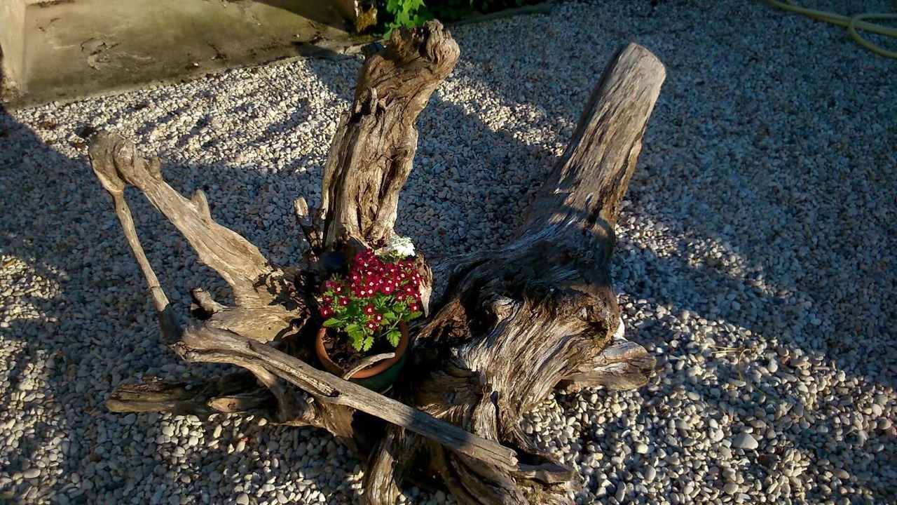 Photo of Outdoor in Jau-Dignac-et-Loirac