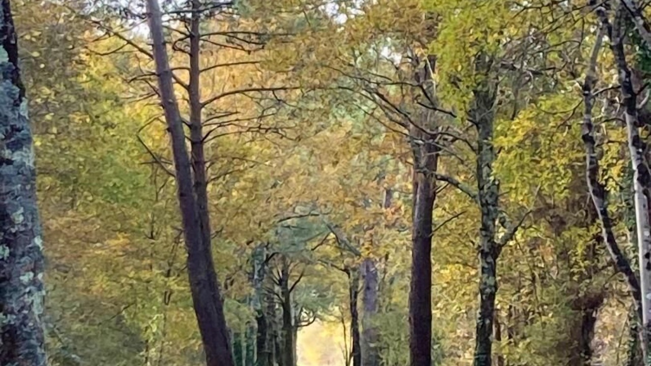 Photo of Outdoor in Mazion