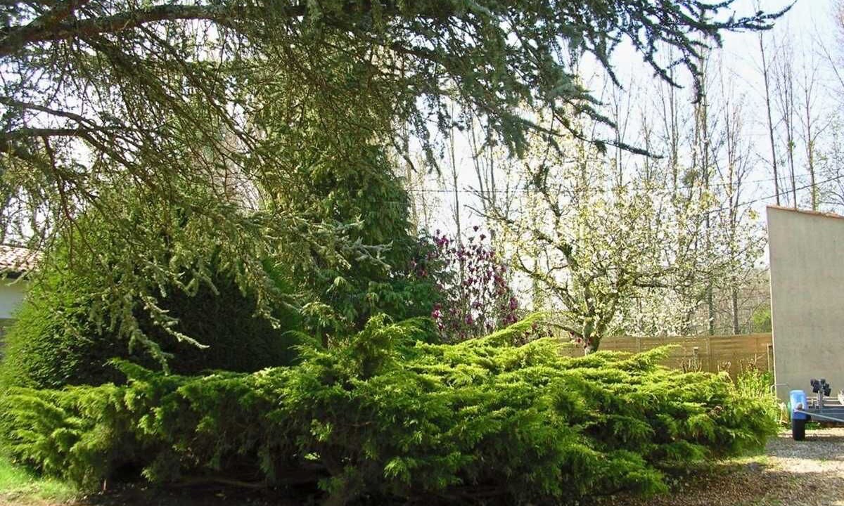 Photo of Outdoor in Pujols-sur-Ciron