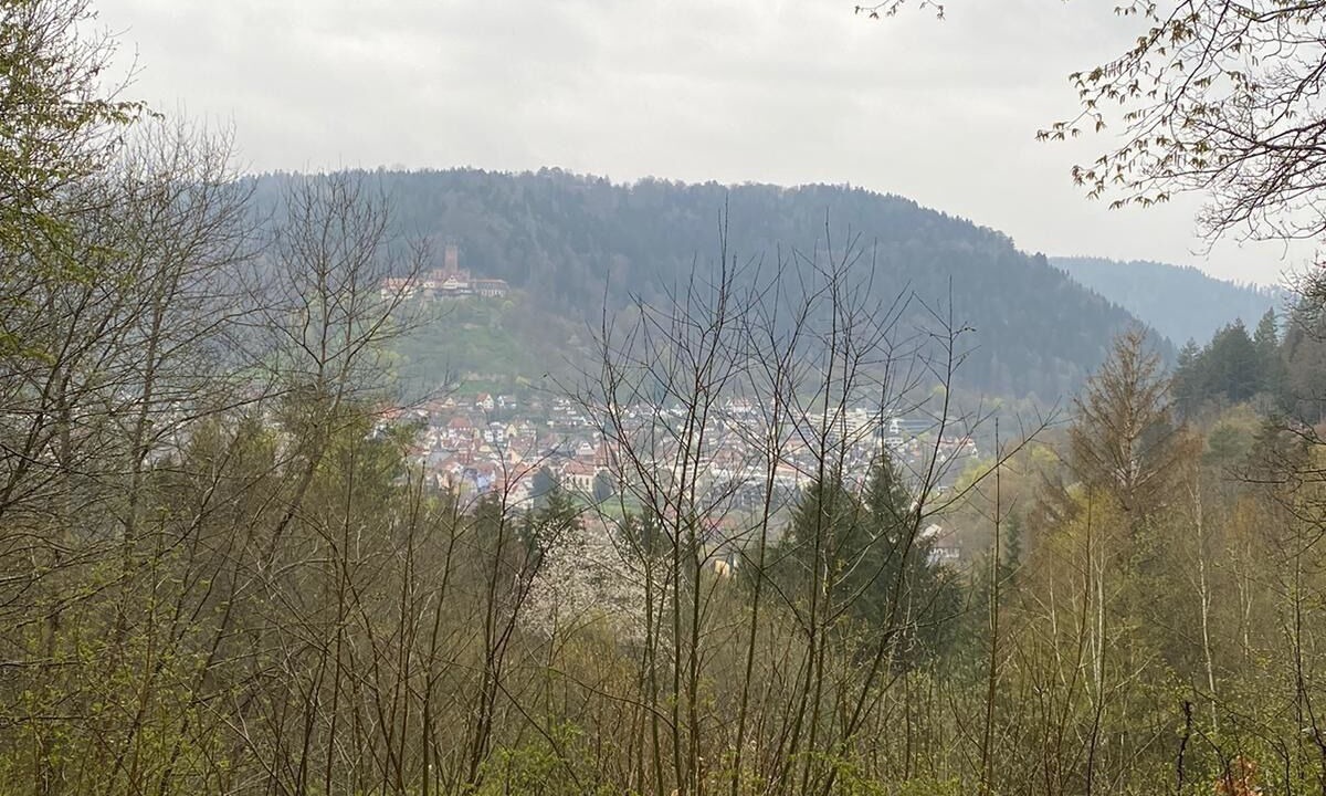 Photo of Others in Bad Liebenzell