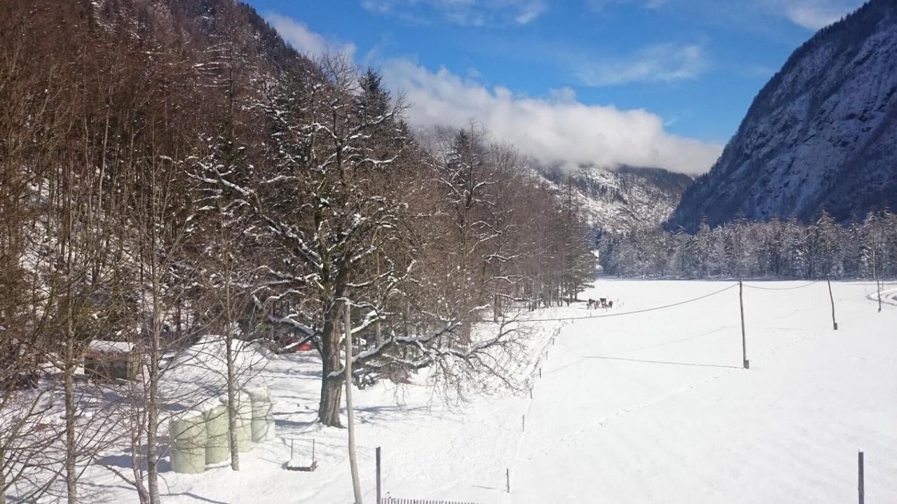 Photo of Others in Mojstrana