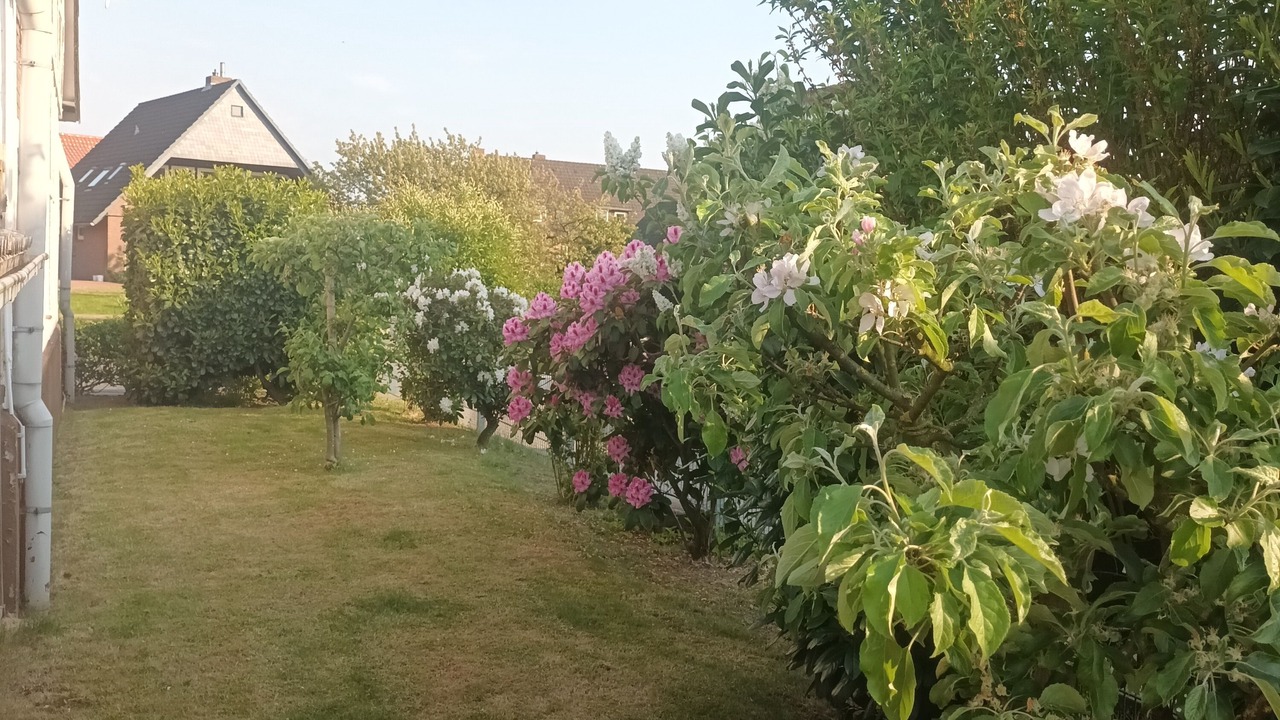 Photo of Outdoor in Jork