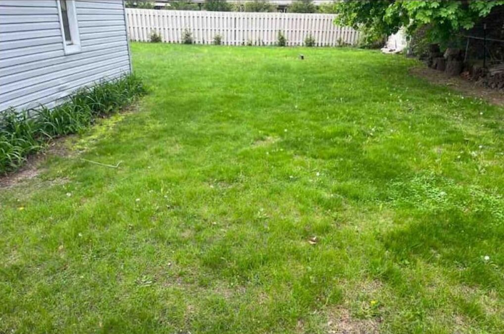 Photo of Outdoor in Plymouth