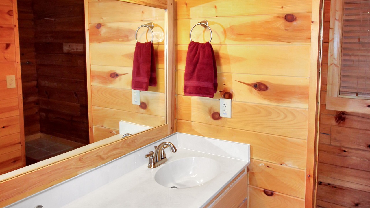 Photo of Bathroom in Vein Mountain
