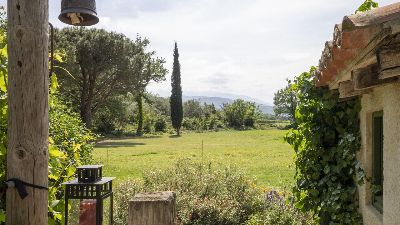 Photo of Outdoor in Ille-sur-Tet