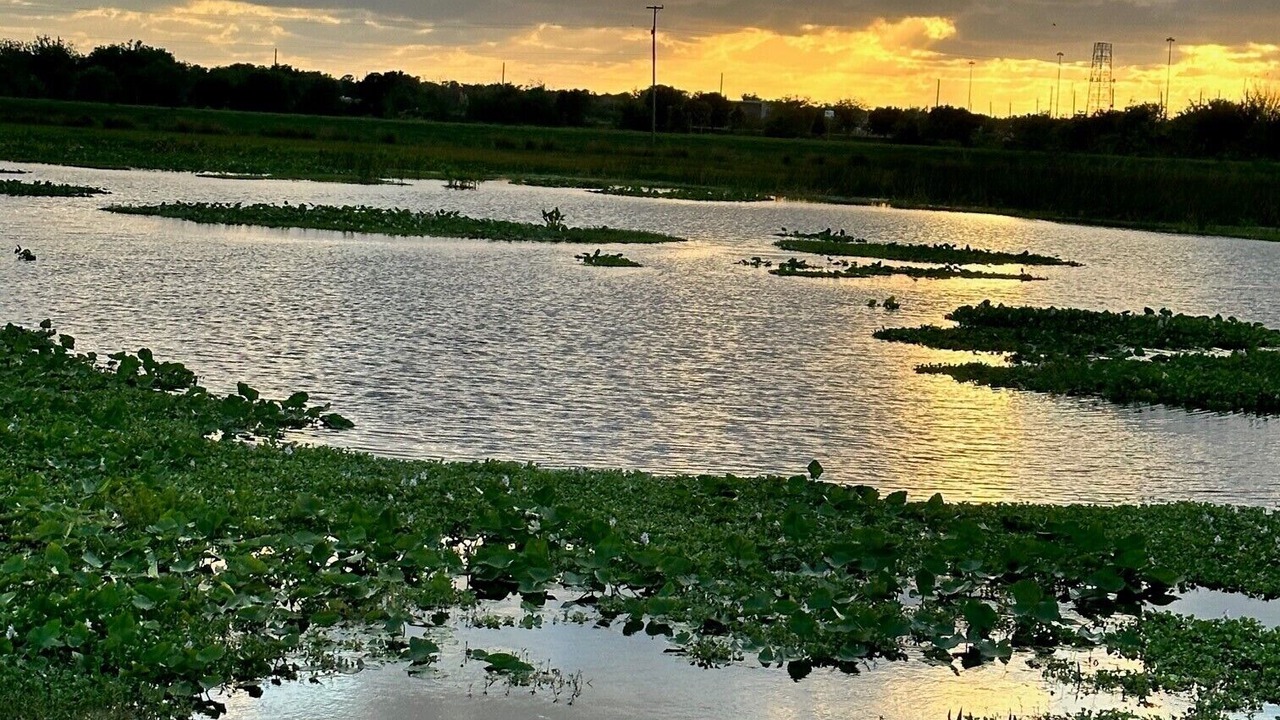 Photo of Others in Sarasota