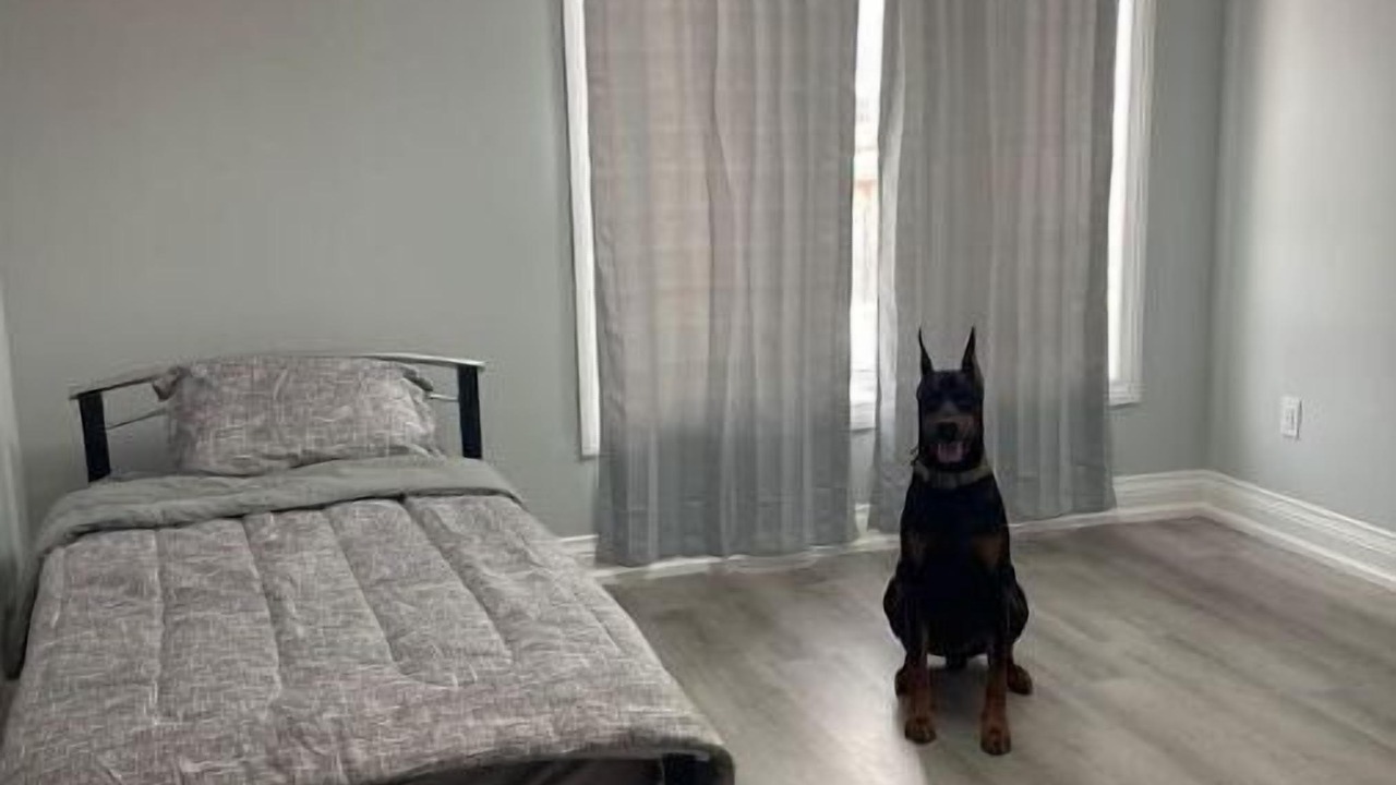 Photo of Bedroom in Durham Region