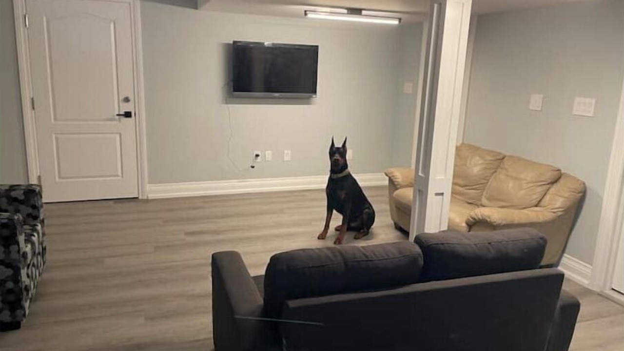 Photo of Livingroom in Durham Region
