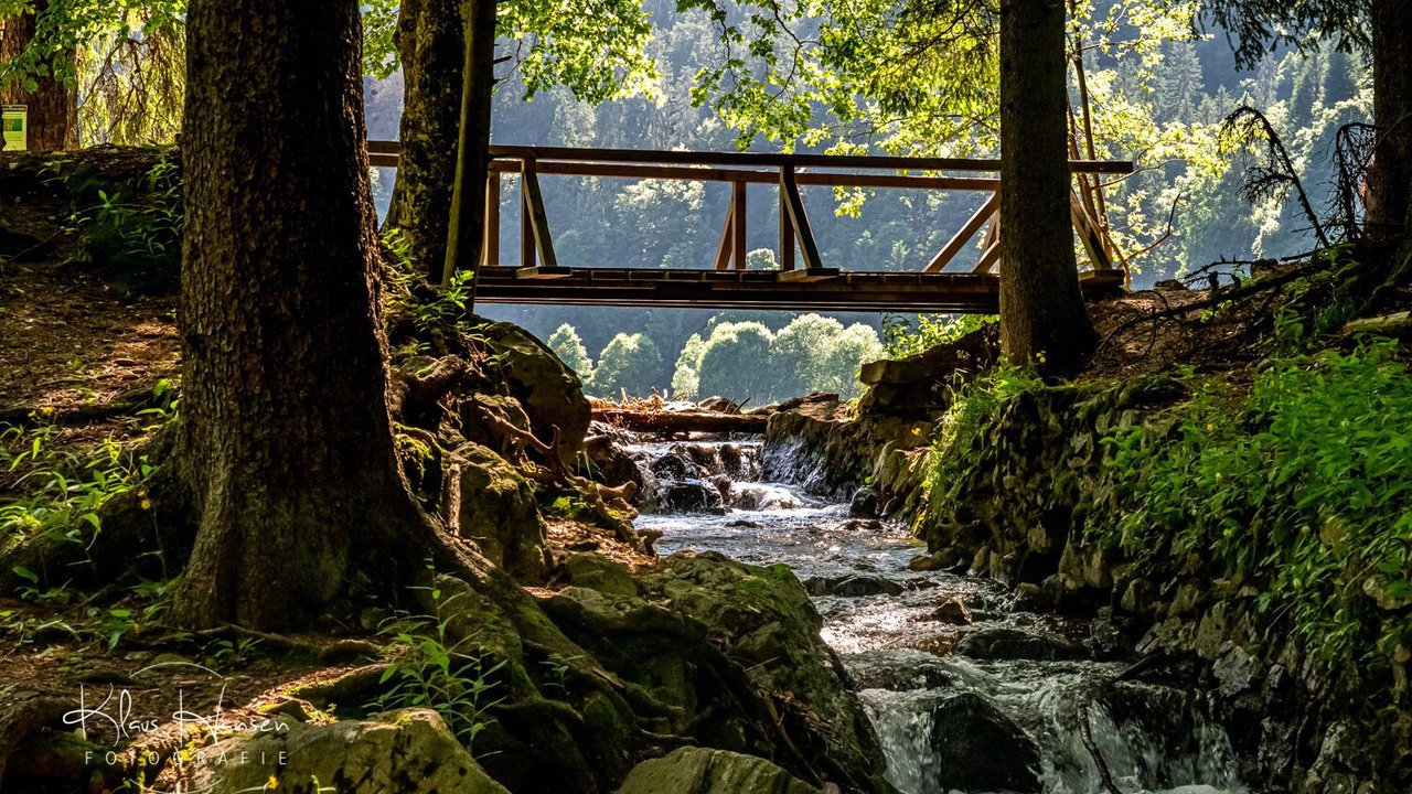 Photo of Outdoor in Todtnauberg