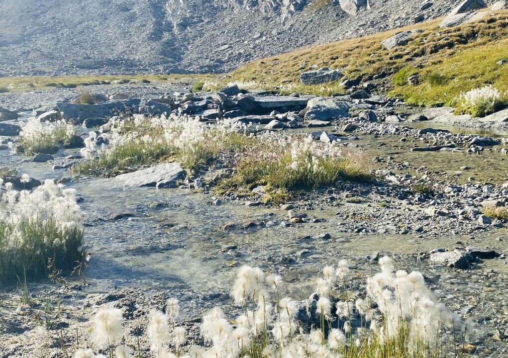 Photo of Others in Gruben