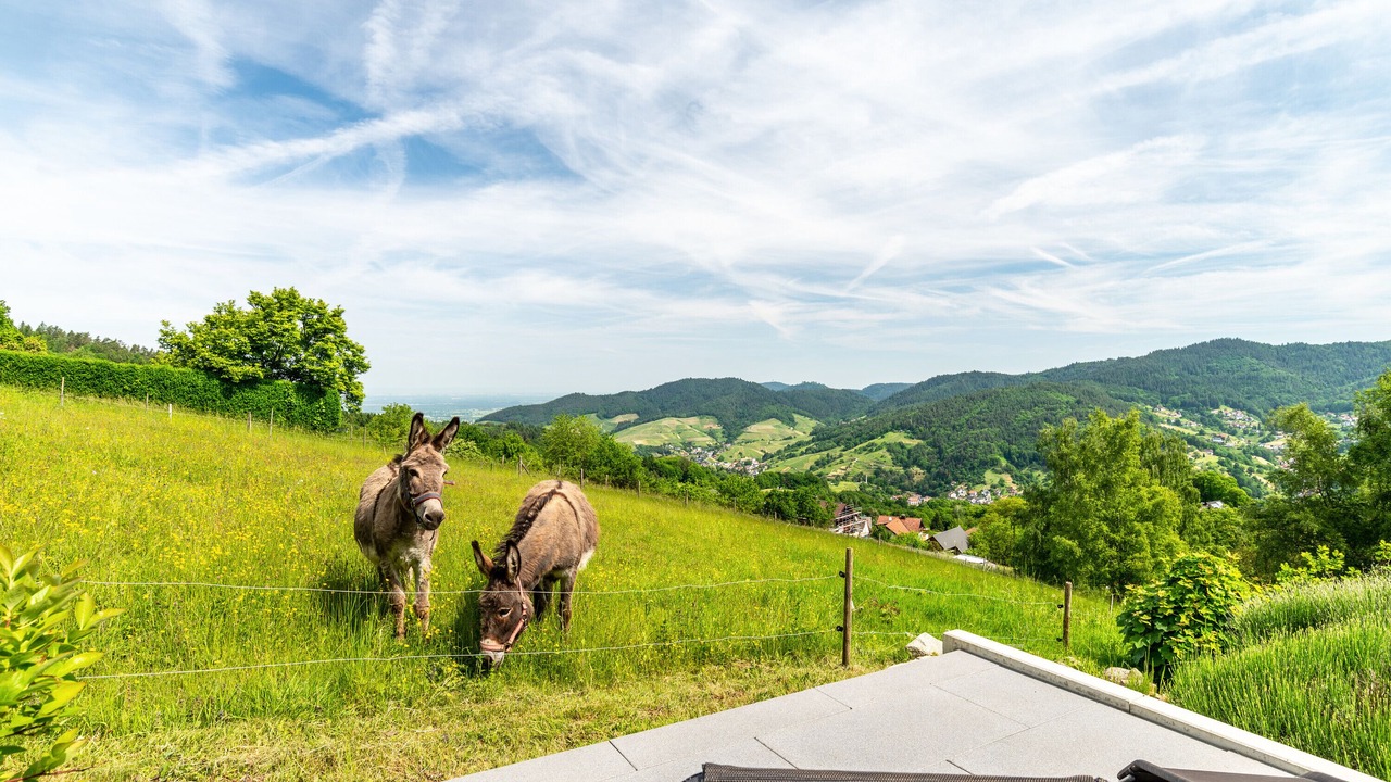 Photo of Outdoor in Neusatzeck