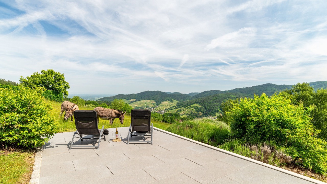 Photo of Patio Balcony in Neusatzeck