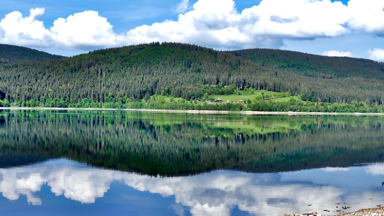 Photo of Outdoor in Todtnauberg