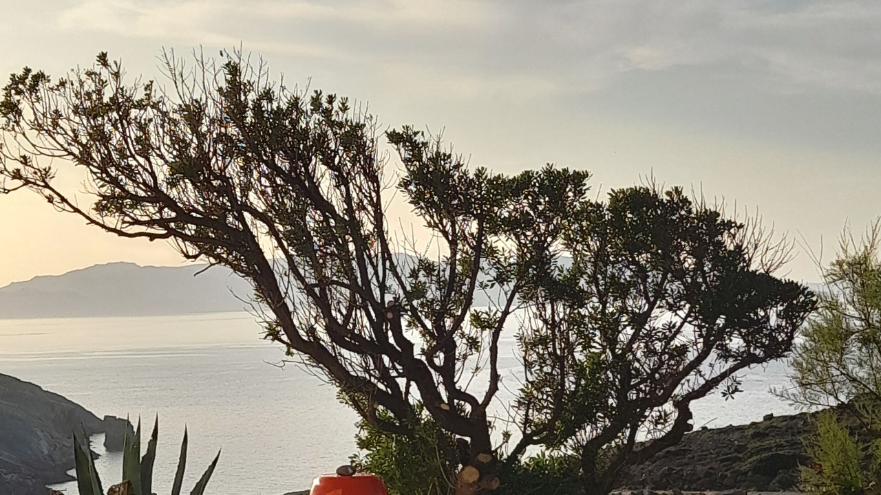 Photo of Patio Balcony in Herronisos