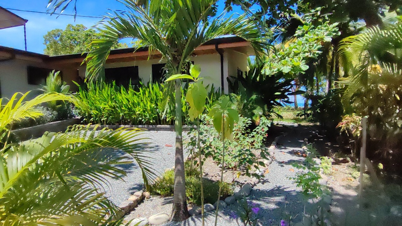 Photo of Outdoor in Savegre