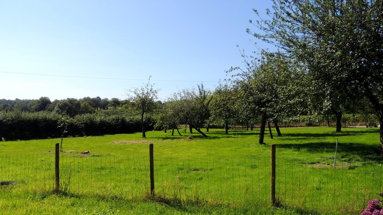 Photo of Outdoor in Champ-du-Boult