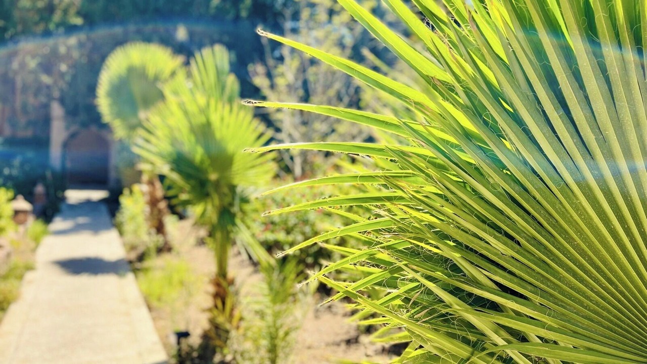 Photo of Outdoor in Skoura