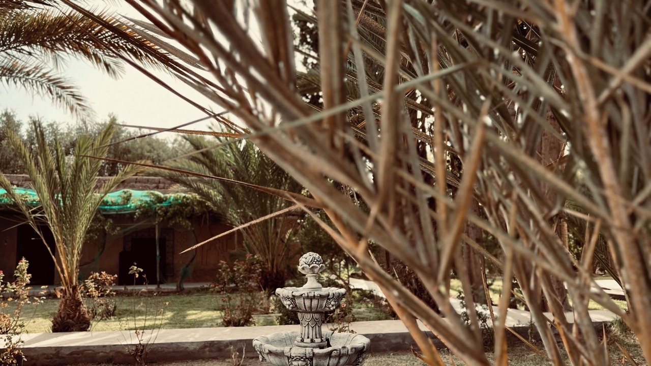Photo of Outdoor in Skoura