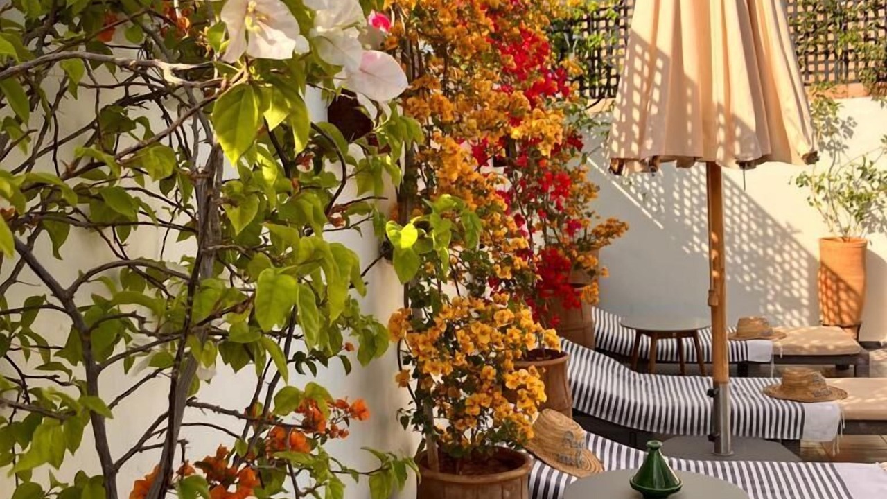 Photo of Patio Balcony in Mechouar-Kasbah