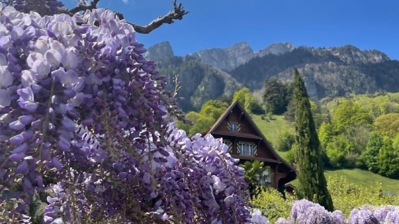 Photo of Outdoor in Ruetli