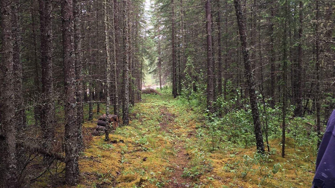 Photo of Outdoor in Sundre