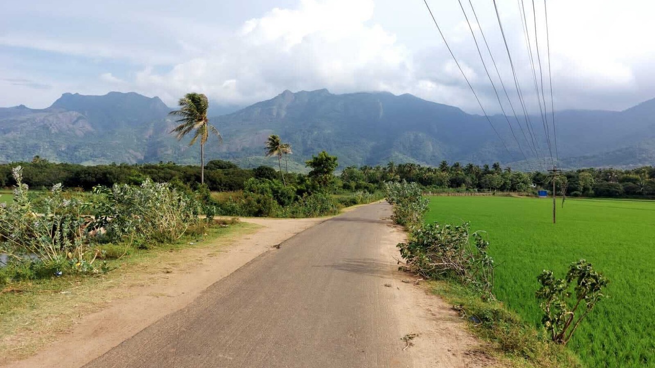 Photo of Outdoor in Tenkasi