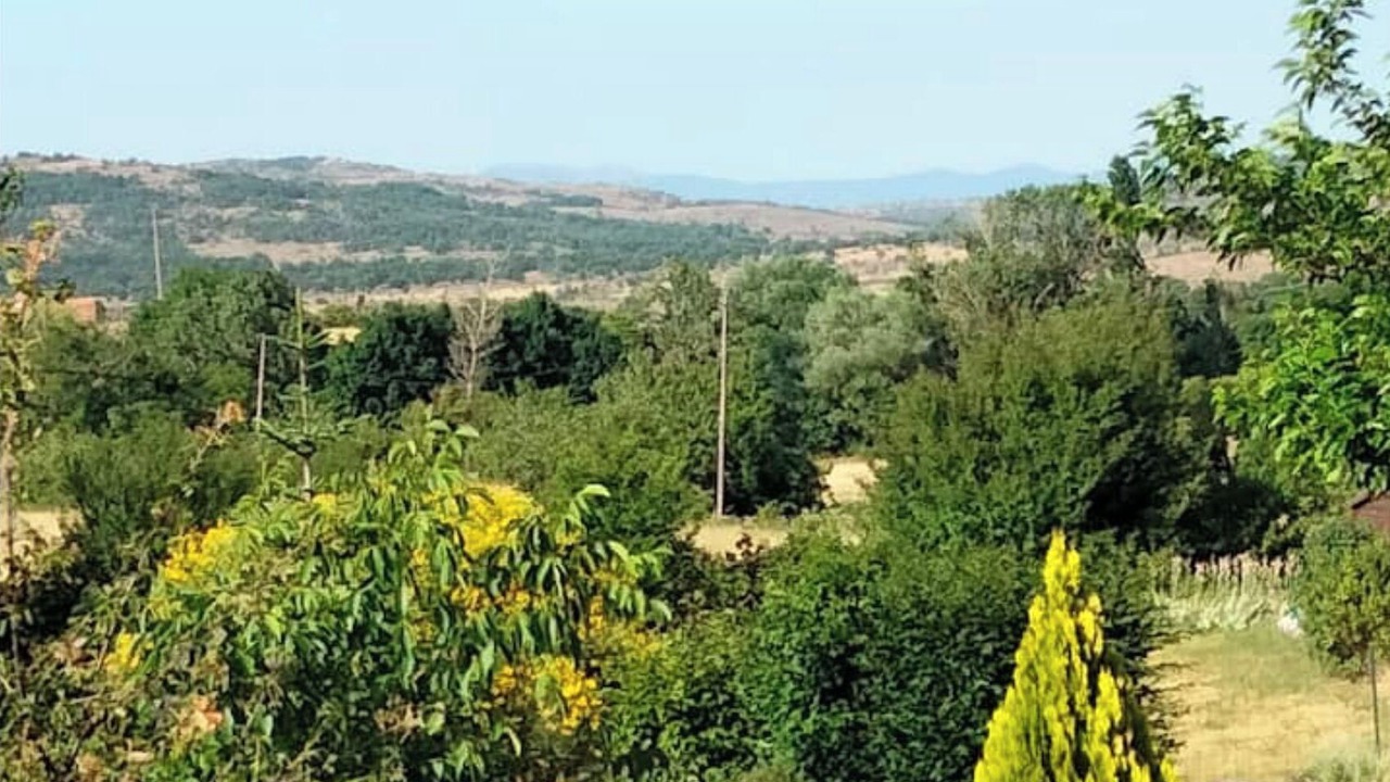 Photo of Outdoor in Blandas