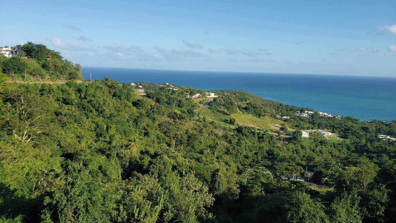 Photo of Others in Yabucoa