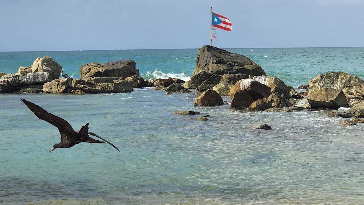 Photo of Others in Yabucoa