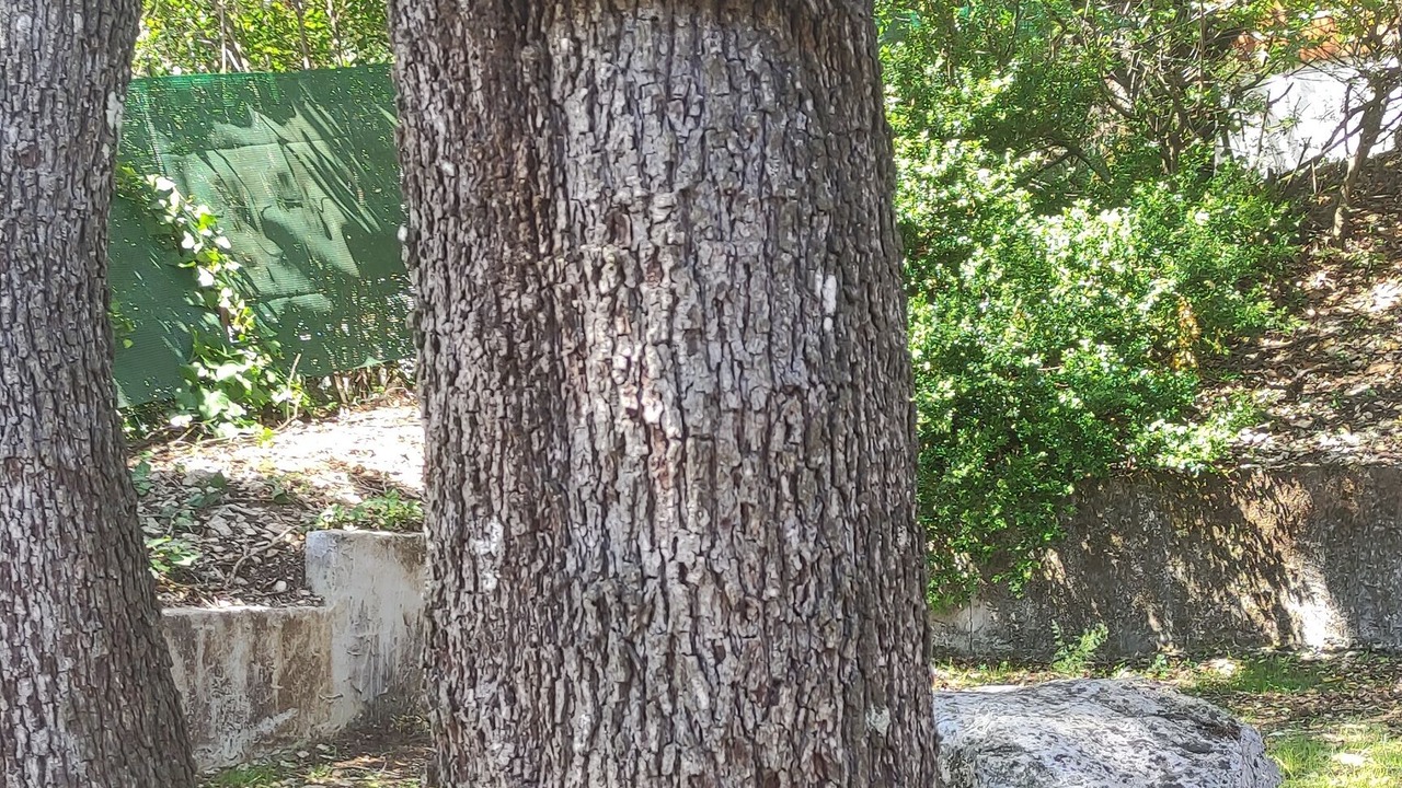 Photo of Outdoor in Les Hauts de Villeneuve